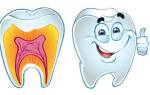 От чего разрушаются зубы