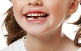 Как отличить молочный зуб от коренного
