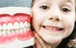 Количество зубов у детей по возрасту